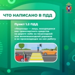 Медиапроект_Пешеходы