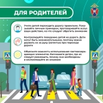 Медиапроект_Пешеходы