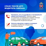 Медиапроект_Безопасность детей-пассажиров