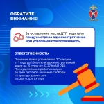 Медиапроект_Безопасность детей-пассажиров