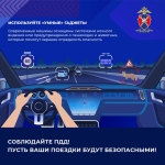 dikie-zhivotnye-8