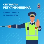 Медиапроект_Безопасность детей-пассажиров