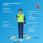 Медиапроект_Безопасность детей-пассажиров