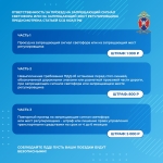 Медиапроект_Безопасность детей-пассажиров